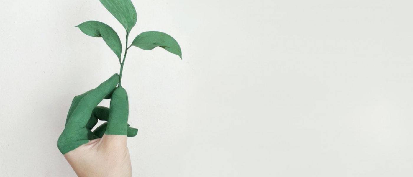 Τα Eco-friendly προϊόντα είναι η απάντηση στην παγκόσμια ρύπανση των πλαστικών Τα Eco-friendly προϊόντα είναι η απάντηση στην παγκόσμια ρύπανση των πλαστικών