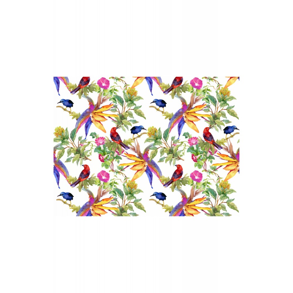 Contento Matteo Σουπλά Βινυλίου 40x30 Natural Tropical Birds