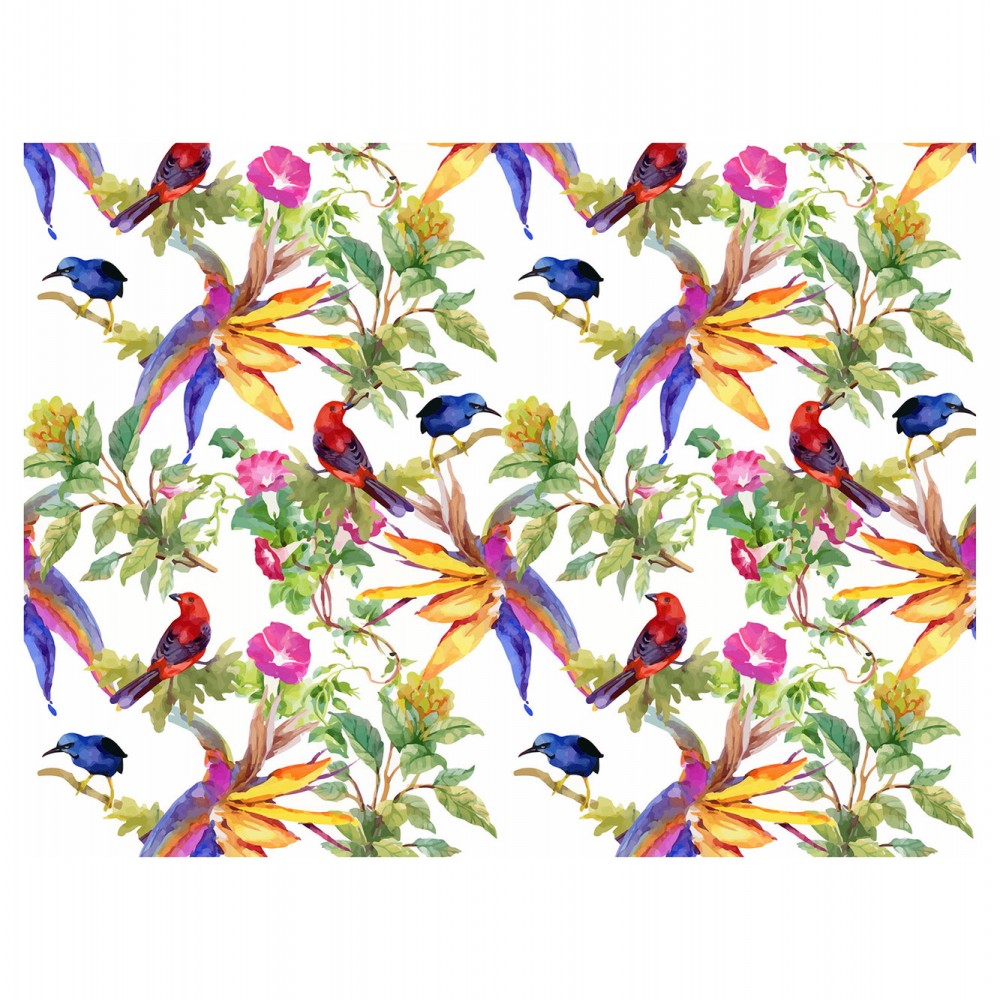 Contento Matteo Σουπλά Βινυλίου 40x30 Natural Tropical Birds